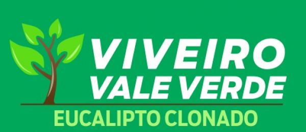 Viveiro Vale Verde - Eucalipto Clonado