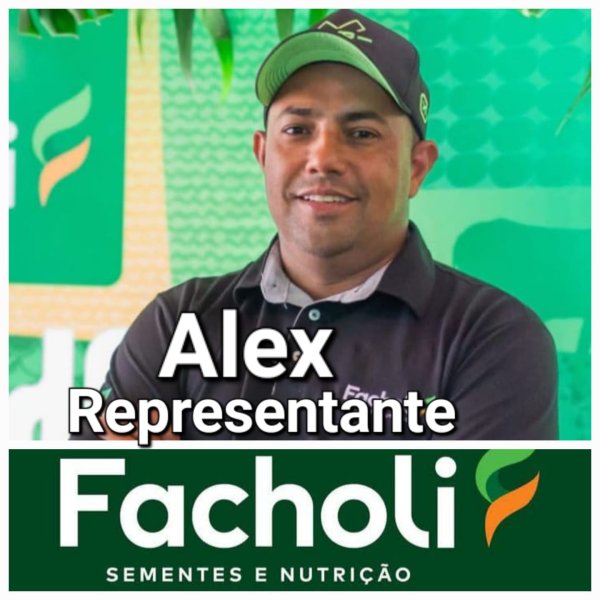 Alex Representação Facholi Sementes e Nutrição Animal