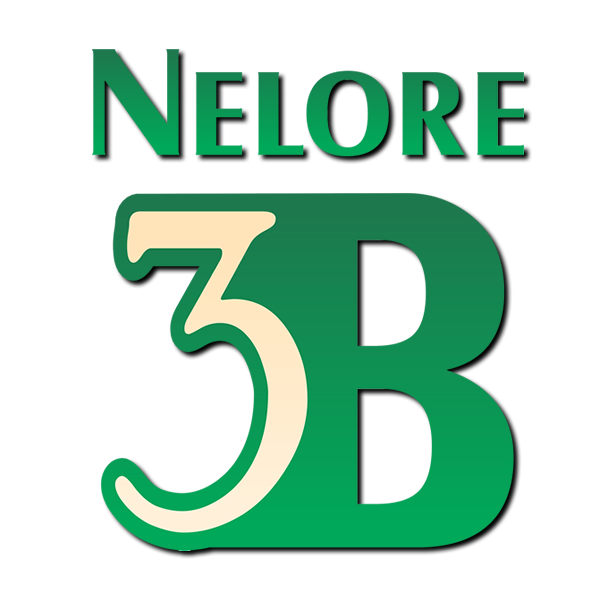 Nelore 3B