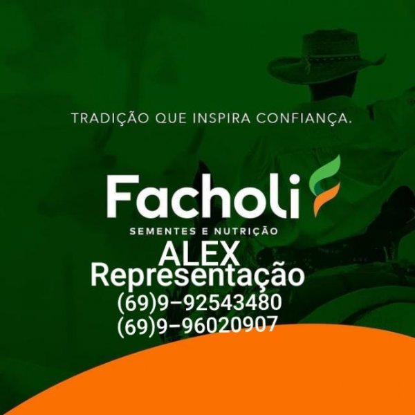 Alex Representação Facholi Sementes e Nutrição