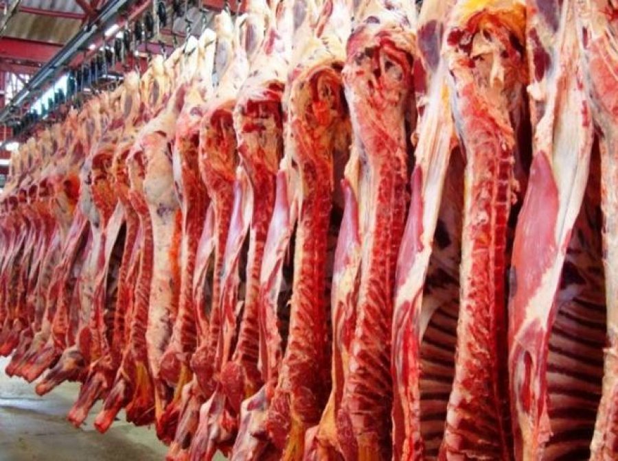 Exportações de carne bovina crescem em...