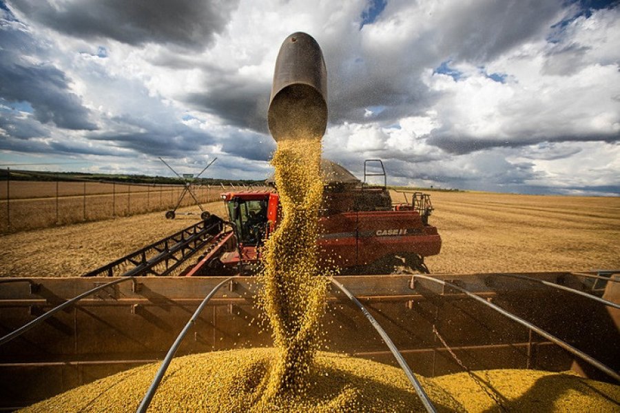 Safra de grãos está estimada em 332,9 milhões de toneladas influenciada por boa produção de soja, milho e arroz