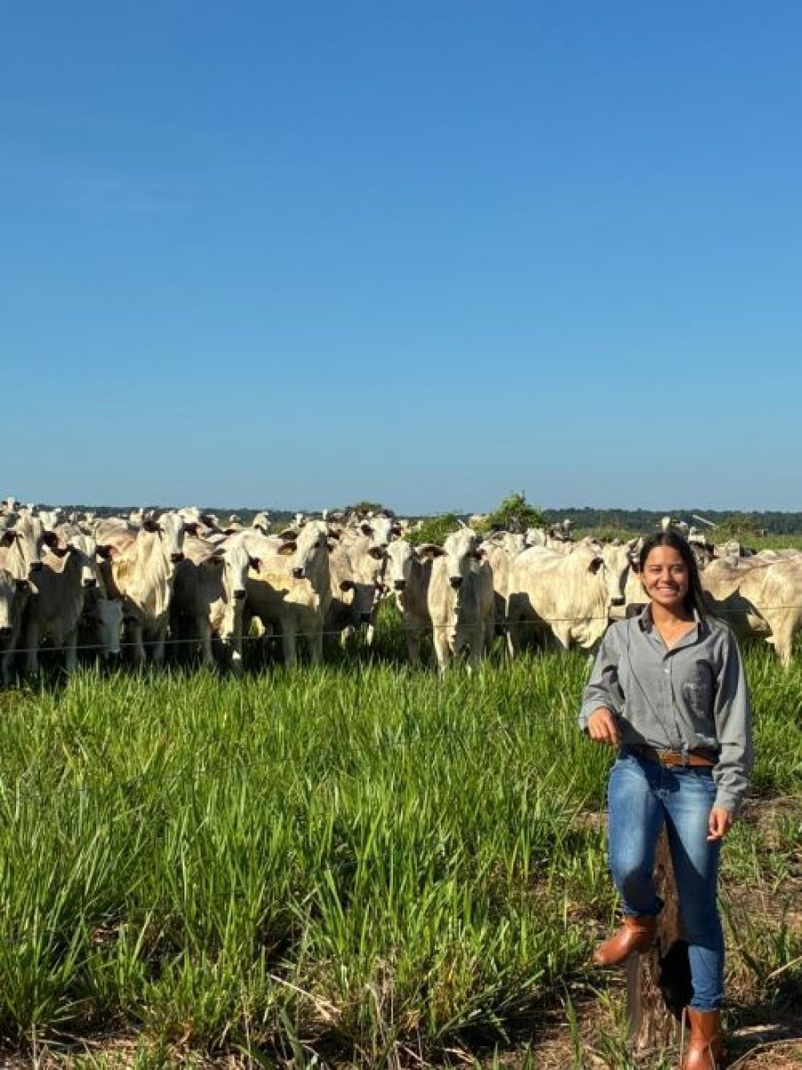 Uso de feromônios no manejo pecuário
