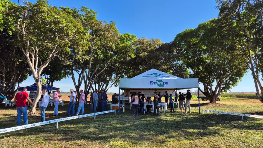 Dia de Campo Safrinha 2025 acontecerá dia 12 de junho em Vilhena