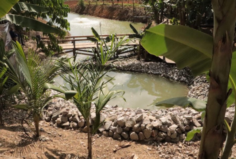 Experiência inovadora é preparada para os visitantes da 12ª Rondônia Rural Show Internacional