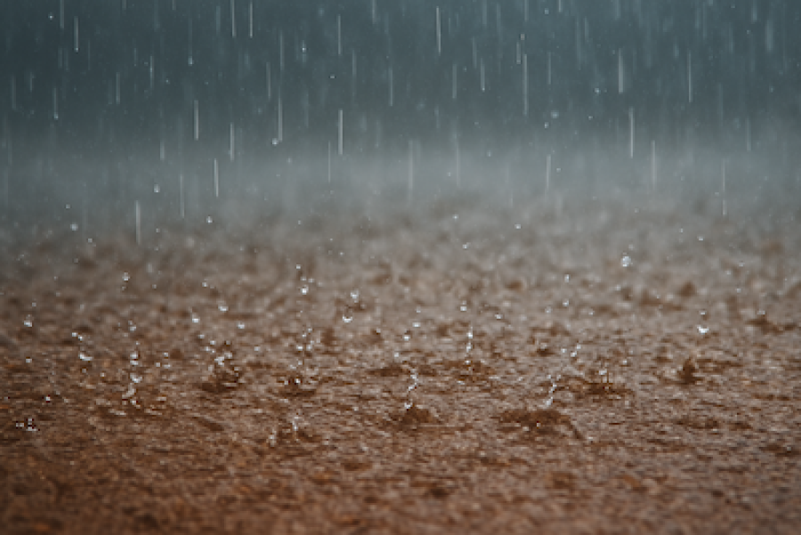 Cheiro da terra molhada