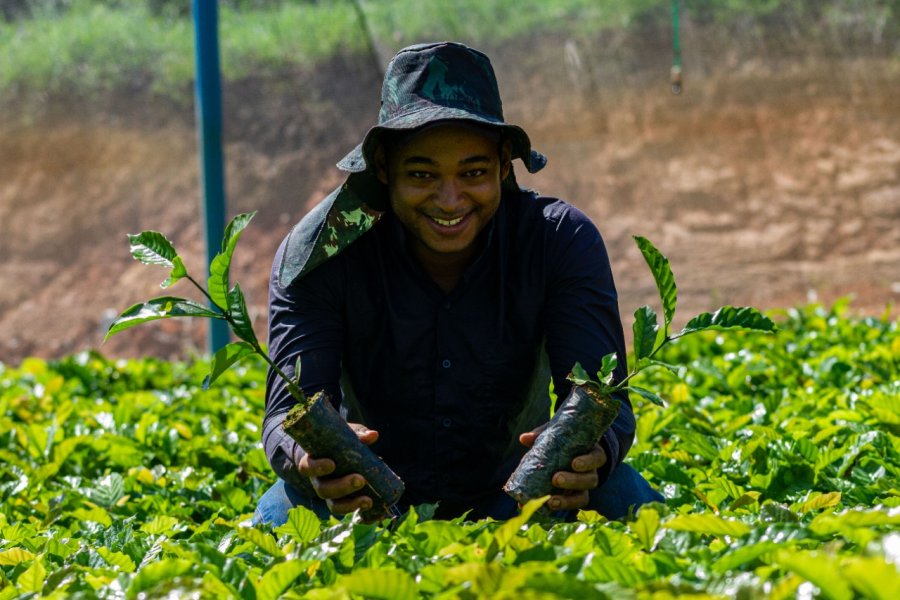 Programa Estadual Jovem Empreendedor Rural é instituído em Rondônia para fortalecer a juventude no campo