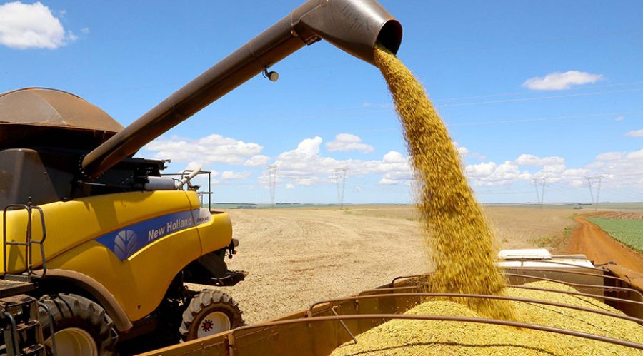 Puxado pela Agropecuária, PIB avança 1,4% no primeiro trimestre