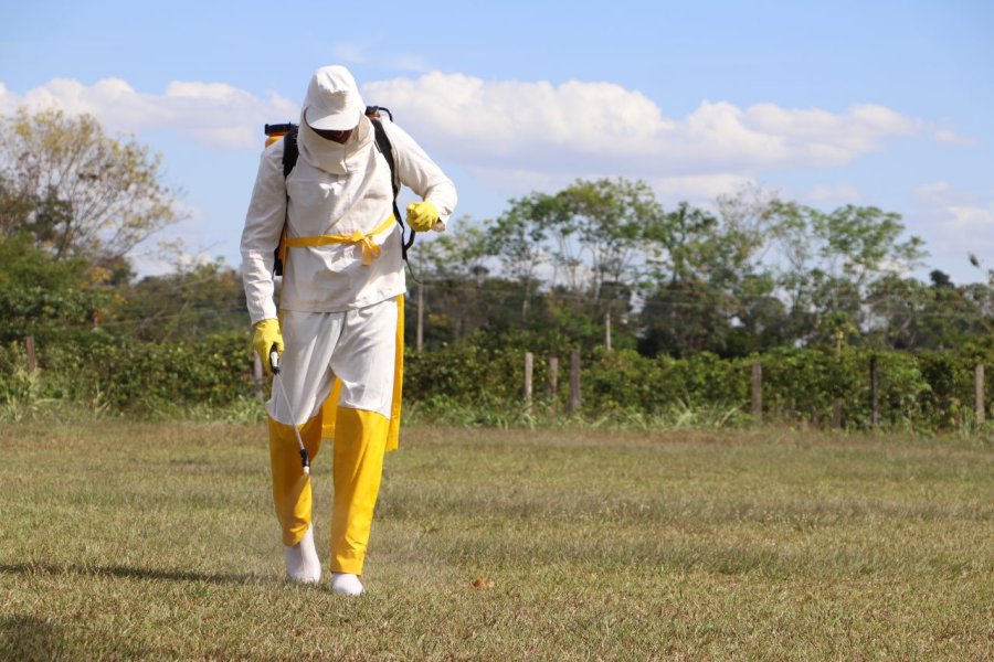 Decreto que regulamenta Lei Estadual de defensivos agrícolas garante saúde e ampla proteção ambiental em Rondônia